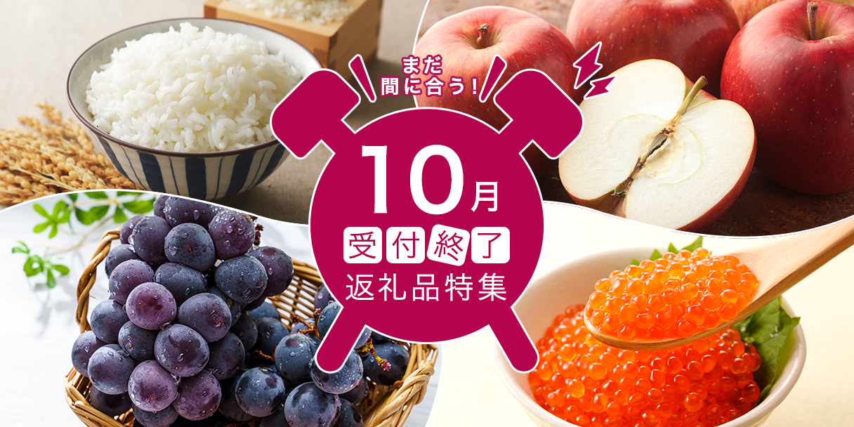 10月受付終了返礼品特集