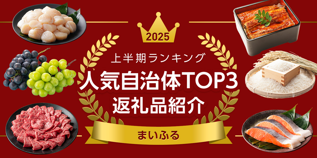 2025年上半期ランキング 人気自治体TOP3 返礼品紹介